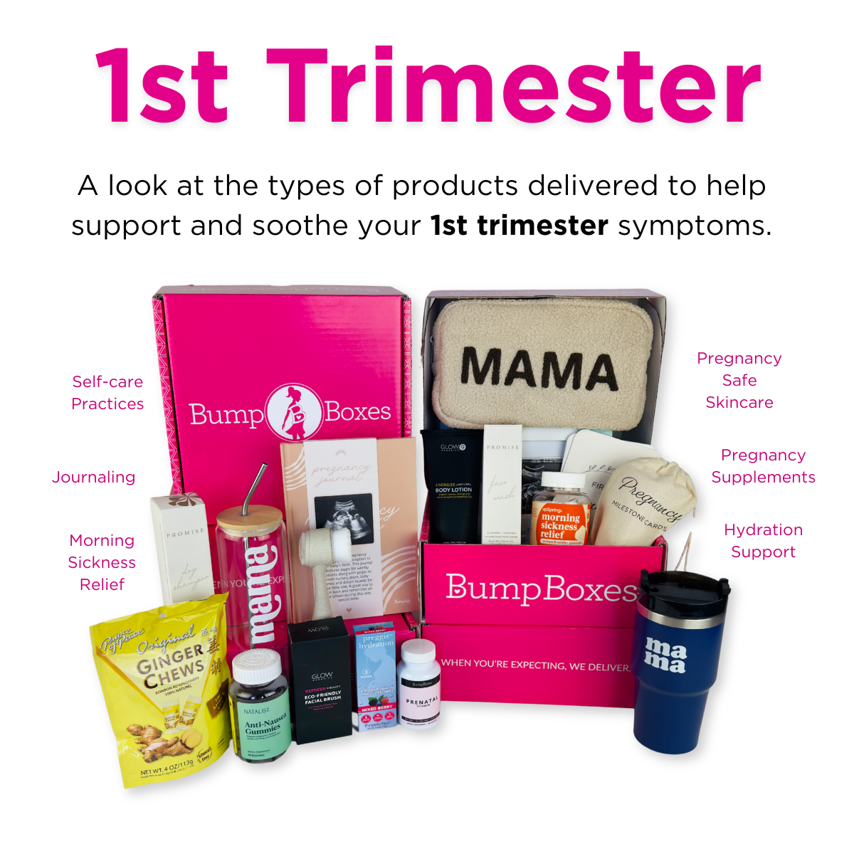 mama専用＊１００日BOX Bump Boxes 12 Month Pregnancy Subscription Box | Bitsy Boxes