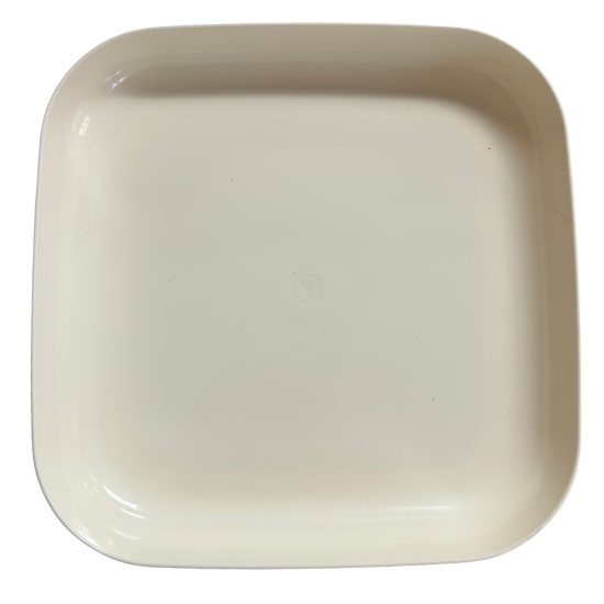 Jetti Spaghetti Open Plate 2 Piece Set | Bitsy Boxes